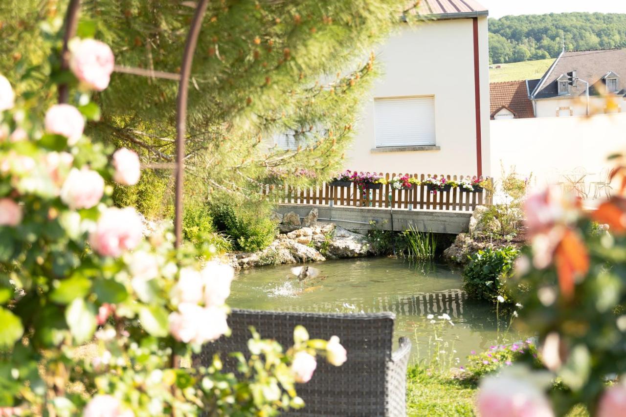 Chambre D'Hote Les Ondines Вине Экстерьер фото